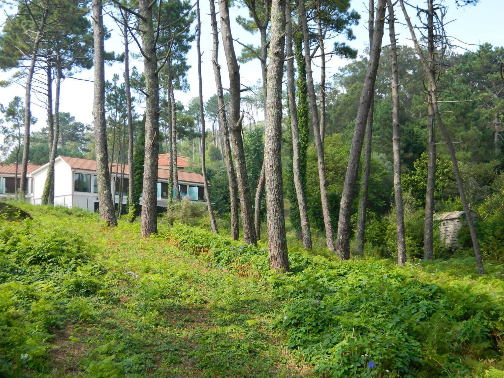 Hotel Alen Do Mar Finisterre Eksteriør billede